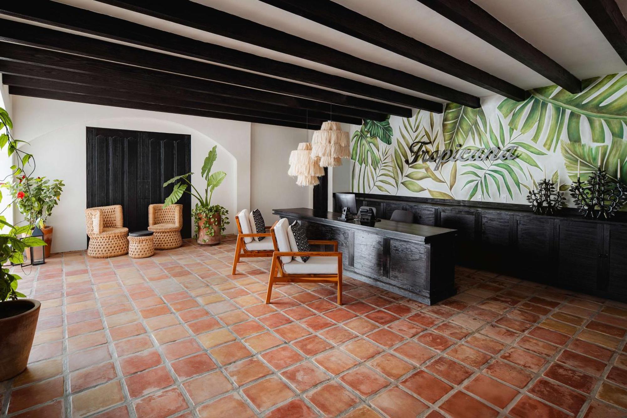 Tropicana Los Cabos, Tapestry Collection By Hilton San José del Cabo エクステリア 写真